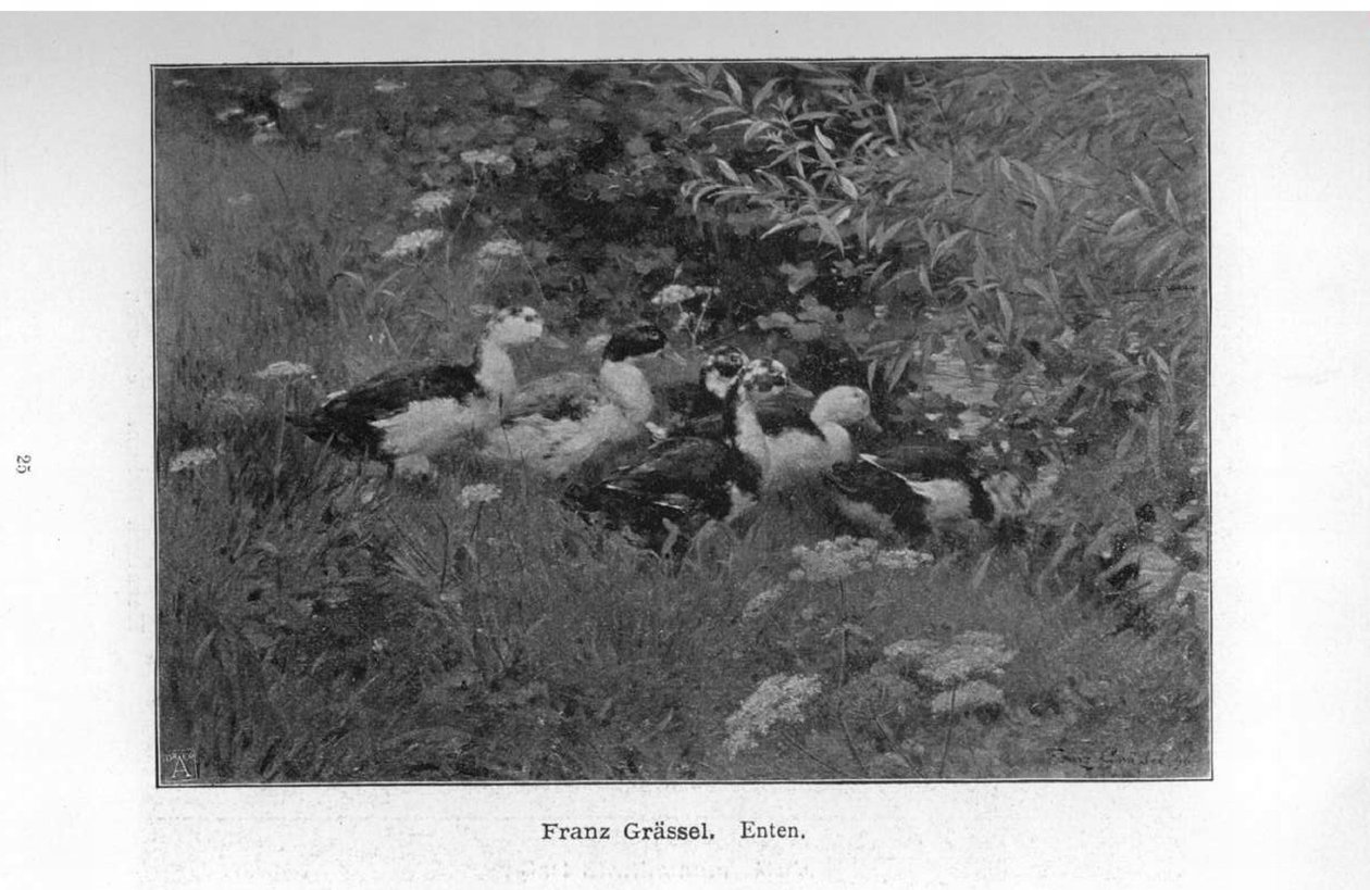 Enten tekijältä Franz Grassel