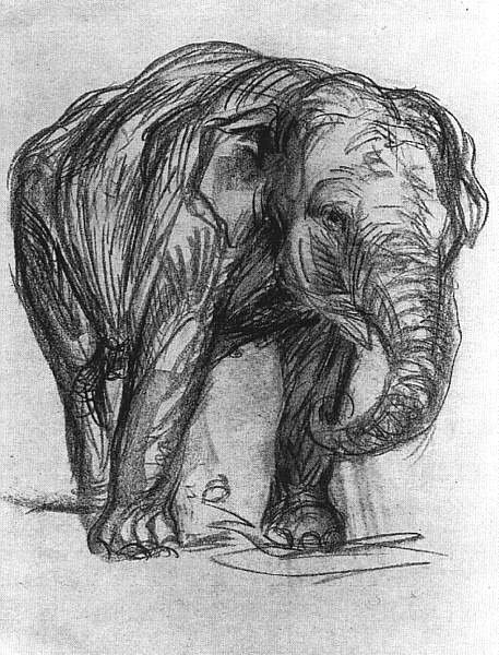 Norsu tekijältä Franz Marc