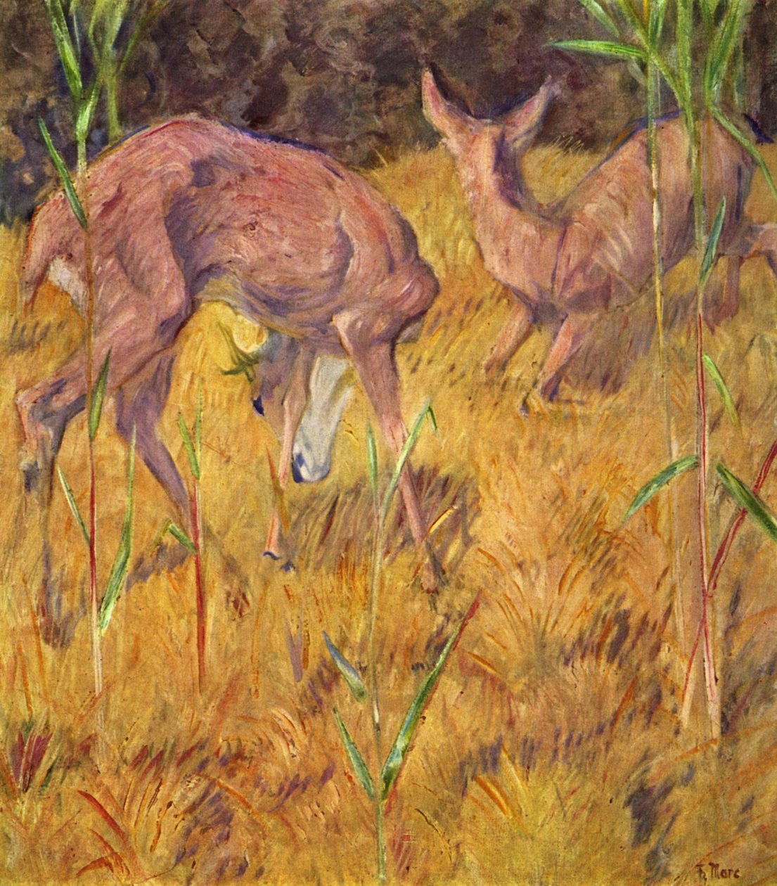 Rehe im Schilf tekijältä Franz Marc