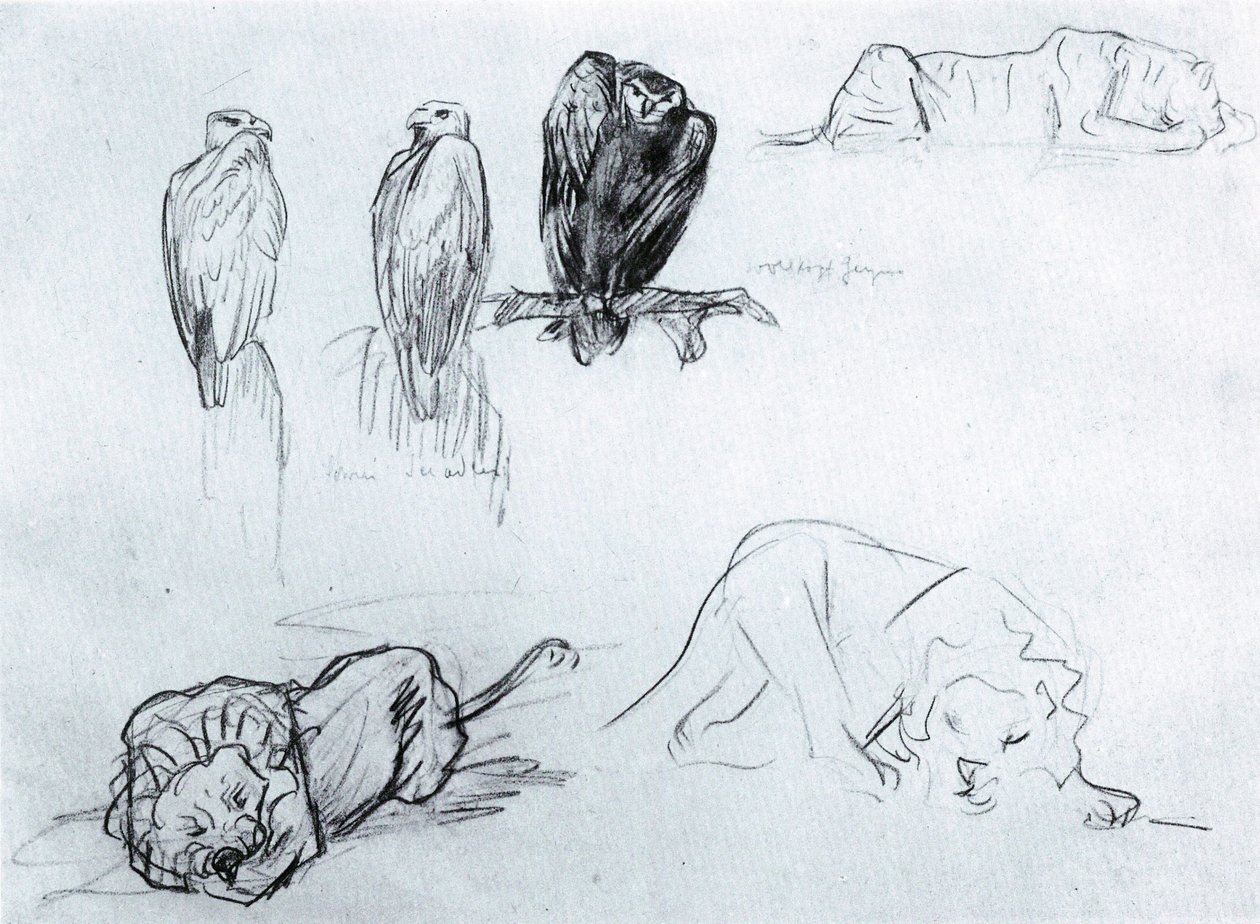 Seeadler und Löwen tekijältä Franz Marc
