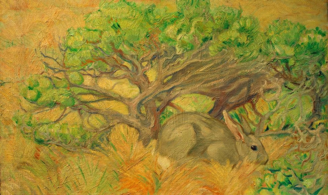 Wildes Kaninchen tekijältä Franz Marc