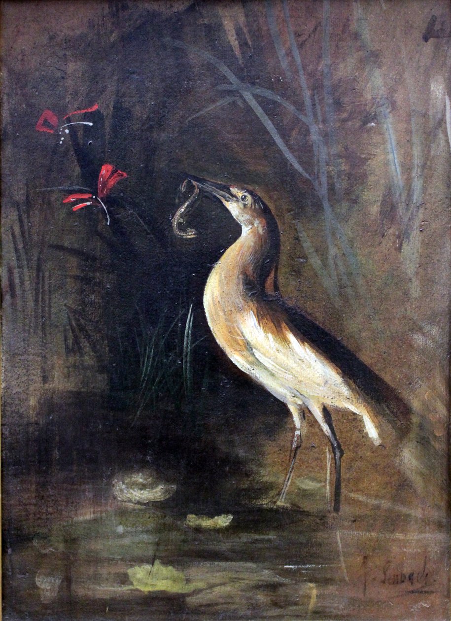 Heron ja Salamandern Deutsch: Fischreiher und SalamandernFrancais: Heron et Salamandern tekijältä Franz Seraph von Lenbach