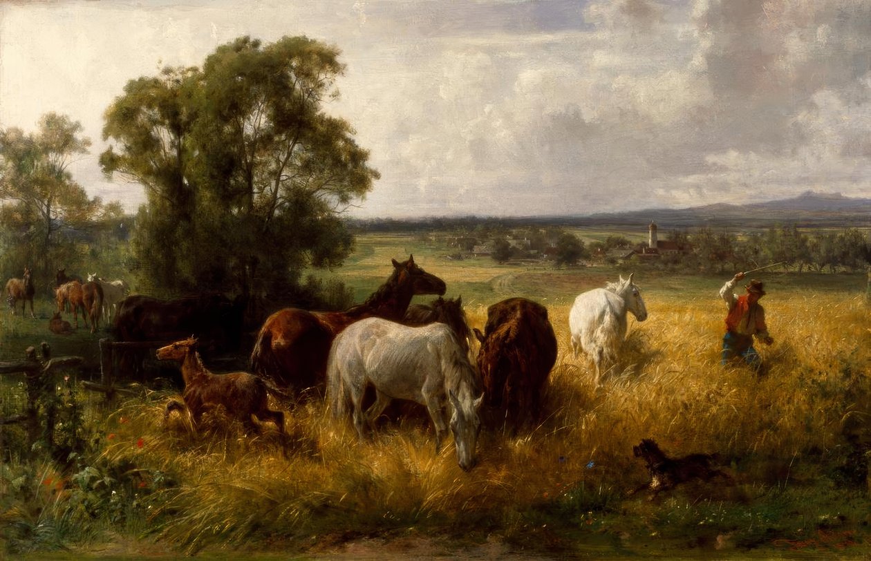 F. Adam, Beyond the paddock tekijältä Franz Adam