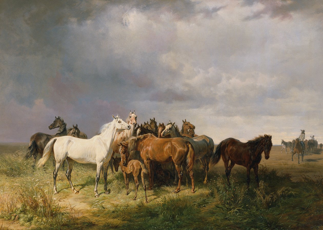 Hevoset Pusztalla tekijältä Franz Adam