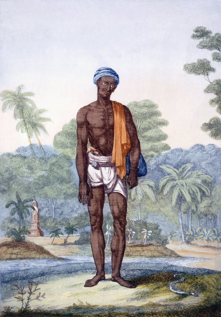 Käärmeenpyydystäjä, teoksesta "The Hindus, or the Description of their Manners, Costumes and Ceremonies", noin 1808-12 (värillinen etsaus). tekijältä Franz Balthazar Solvyns