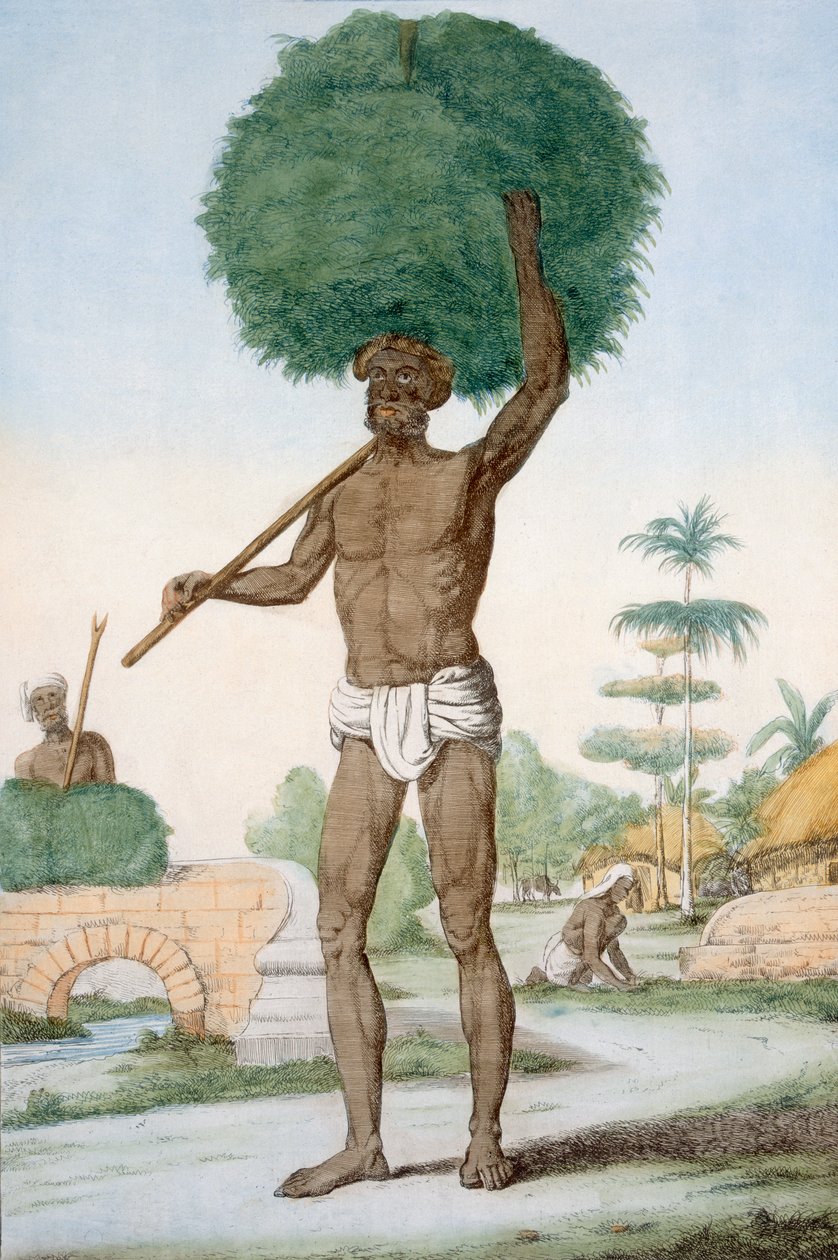Hindupalvelija leikkaa ruohoa, "Hindust tai kuvaus heidän tapoistaan, pukuistaan ja seremonioistaan", n. 1808-1812 (värillinen etsaus) tekijältä Franz Balthazar Solvyns