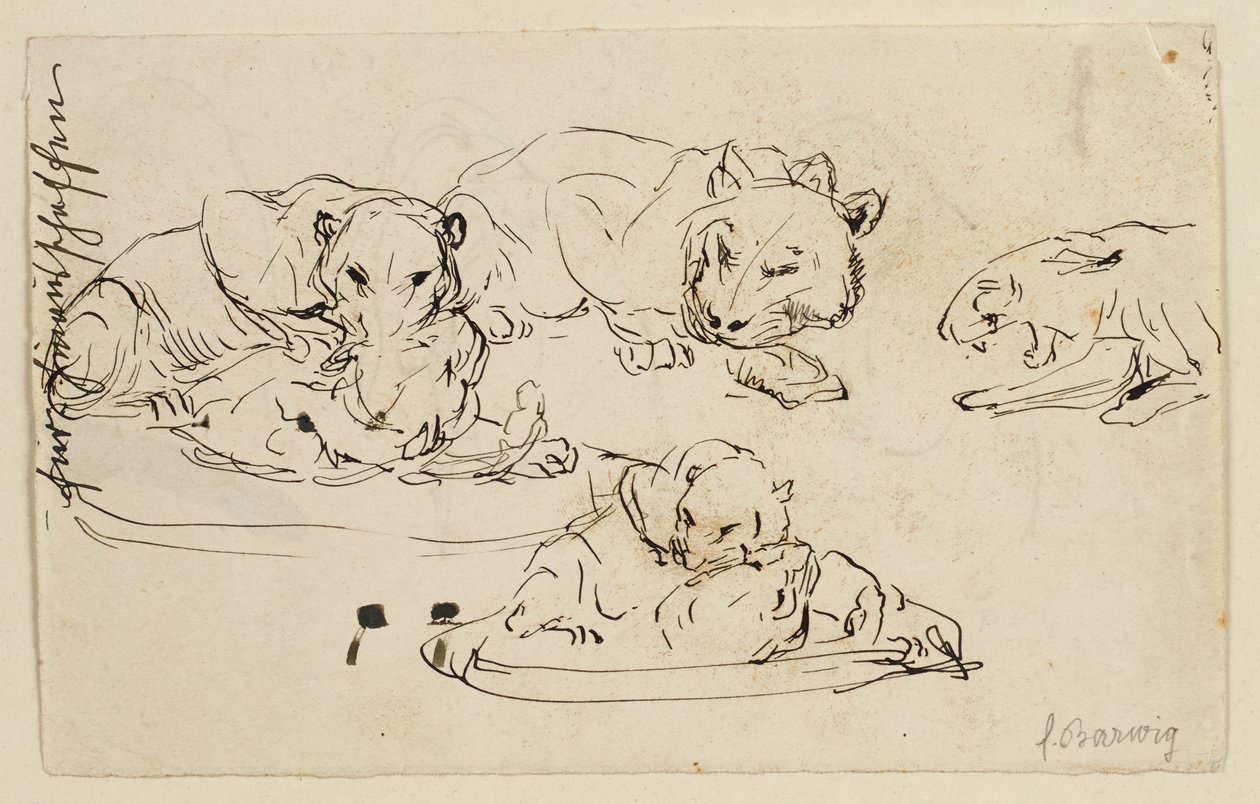 Torjuvat Sundapanthers tekijältä Franz Barwig d. Ä.
