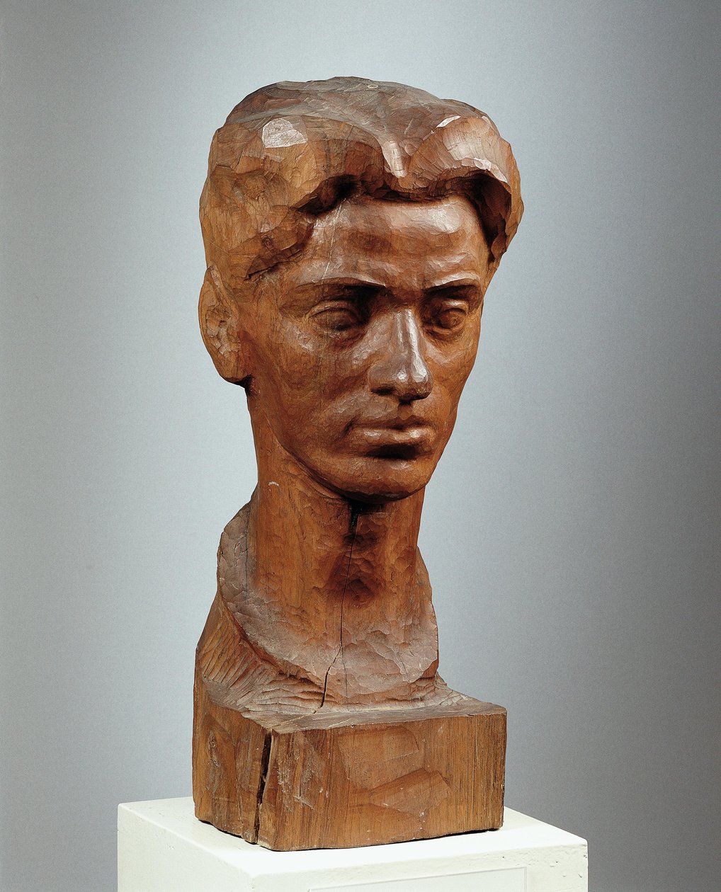 Rudolf Pleban tekijältä Franz Blum