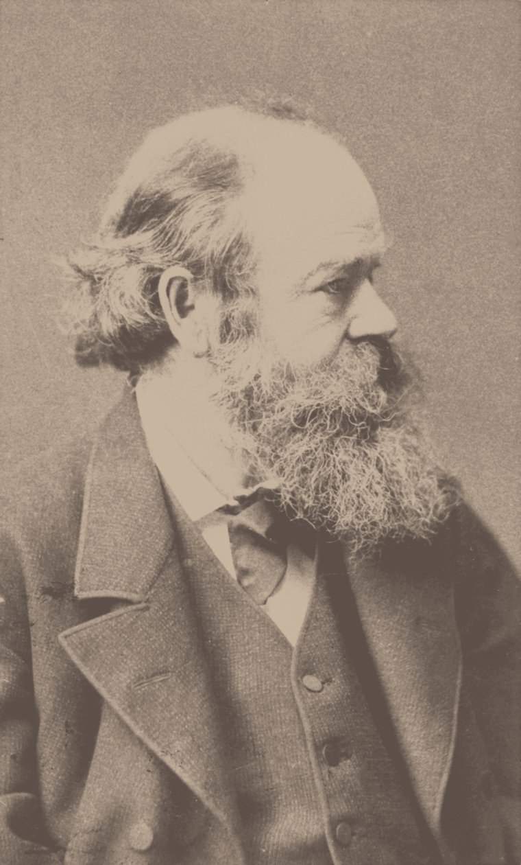 Muotokuva säveltäjä Robert von Hornsteinista 1833-1890. tekijältä Franz Hanfstaengl