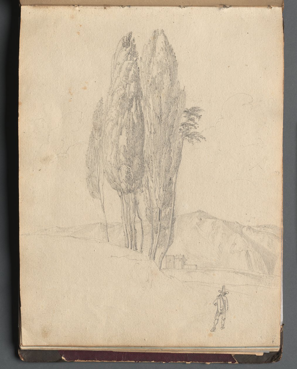 Albumi näkymistä Roomaan ja ympäristöön, Maisematutkimukset, sivu 20a: Puut. tekijältä Franz Johann Heinrich Nadorp