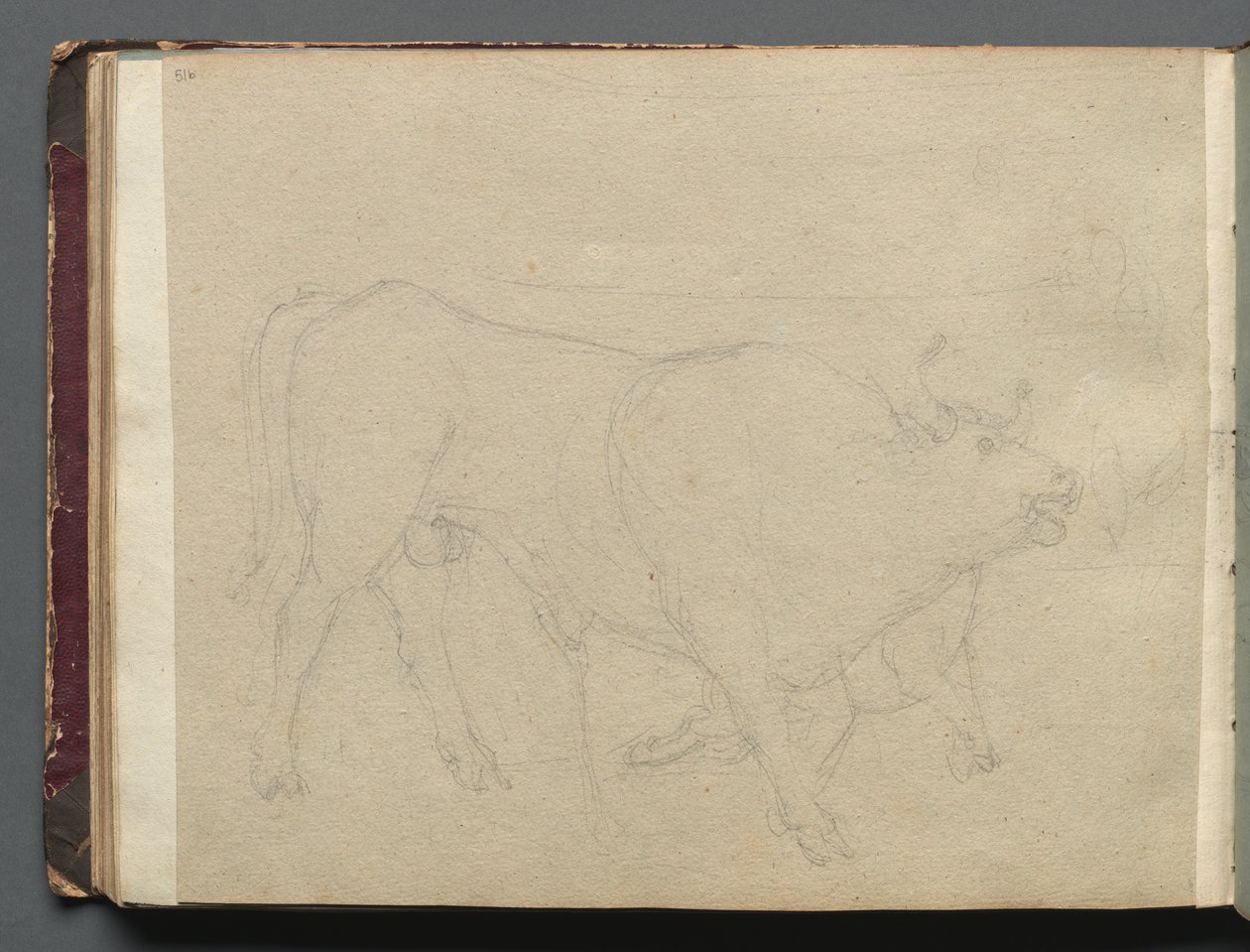 Albumi näkymistä Roomaan ja ympäristöön, Maisematutkimukset, sivu 51b: Study of a Bull. tekijältä Franz Johann Heinrich Nadorp