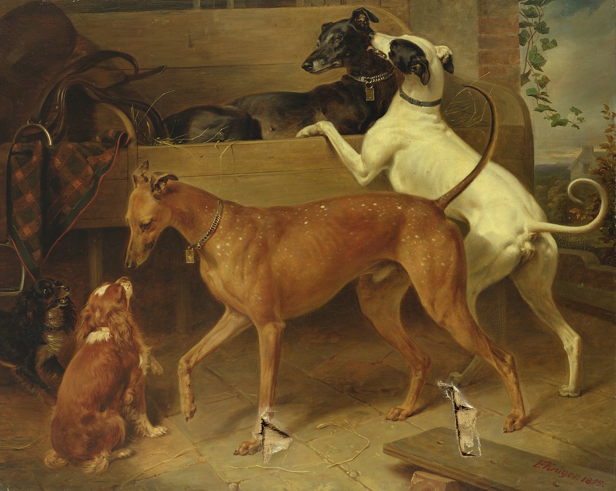 Krugers Dogs, 1855 tekijältä Franz Krüger