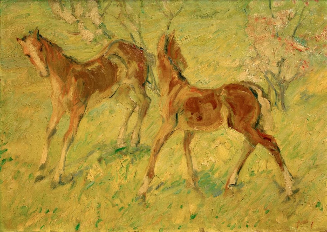 Fohlen auf der Weide (Springende Fohlen) tekijältä Franz Marc