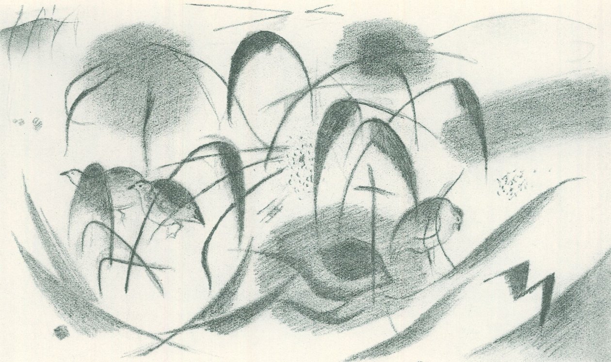 Helmikanat tekijältä Franz Marc