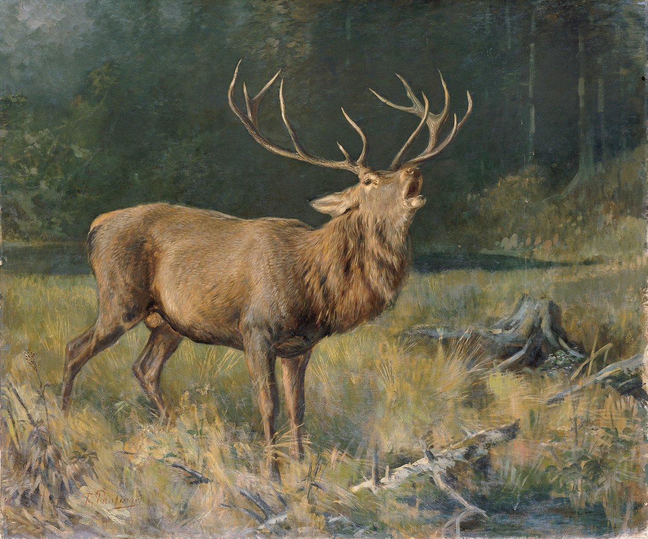 Ruskea peura tekijältä Franz Xaver von Pausinger