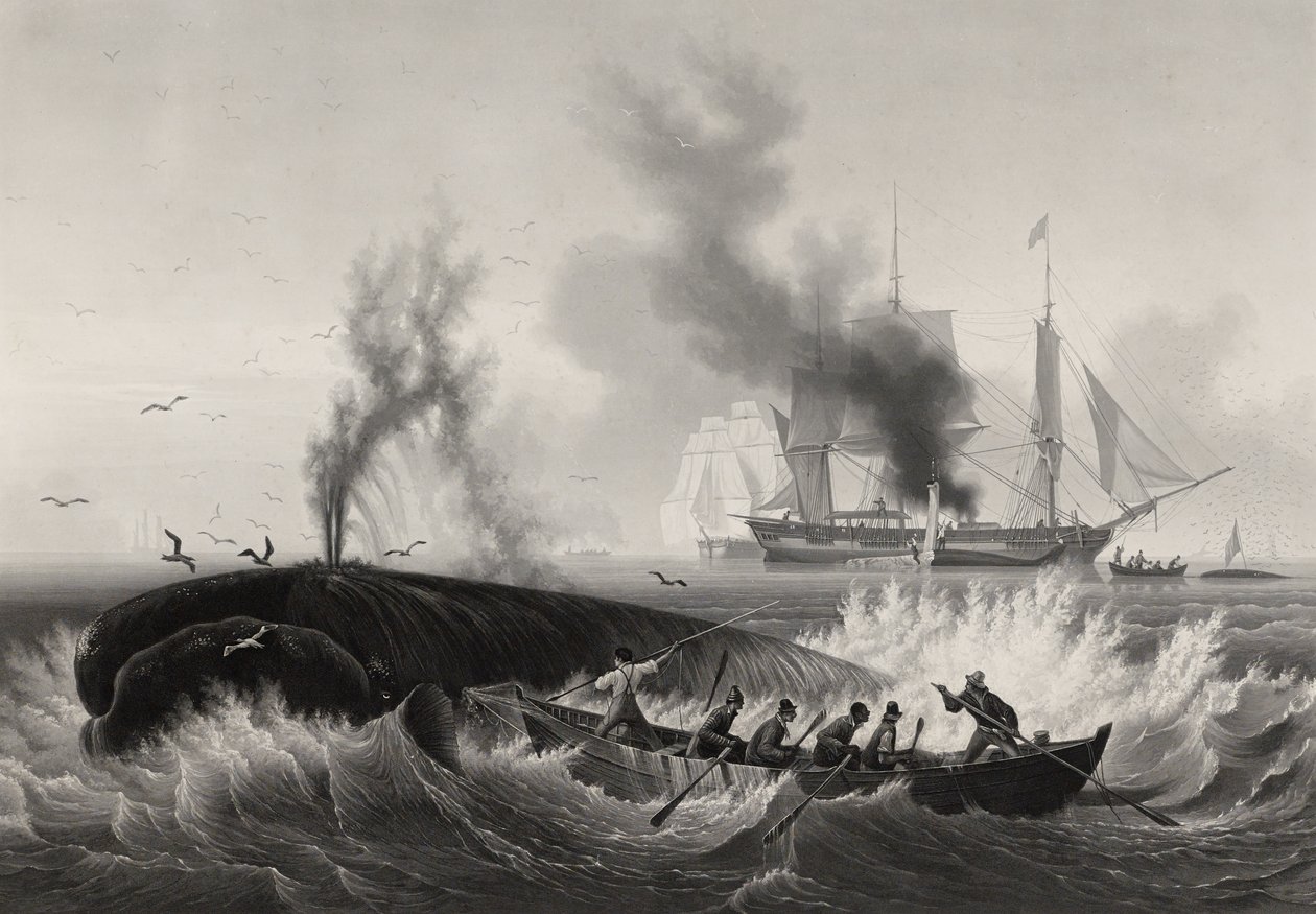 Pêche de la Baleine, 1834-35 (akvatinta ja kaiverrus etsauksella paperille) tekijältä Frederic Martens