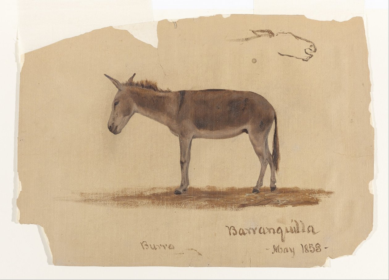 Aasi, Barranquilla, Kolumbia tekijältä Frederic Edwin Church