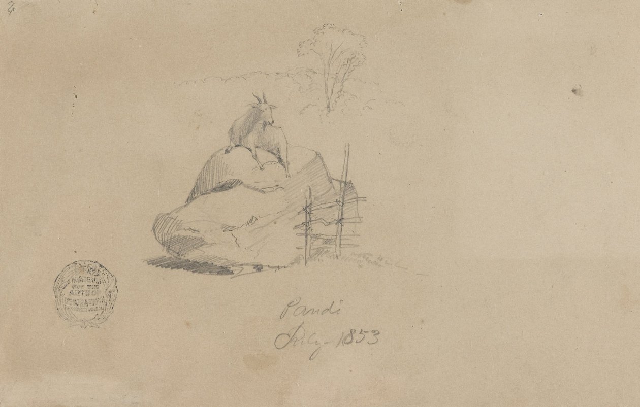 Vuohi Pandissa, Kolumbiassa tekijältä Frederic Edwin Church