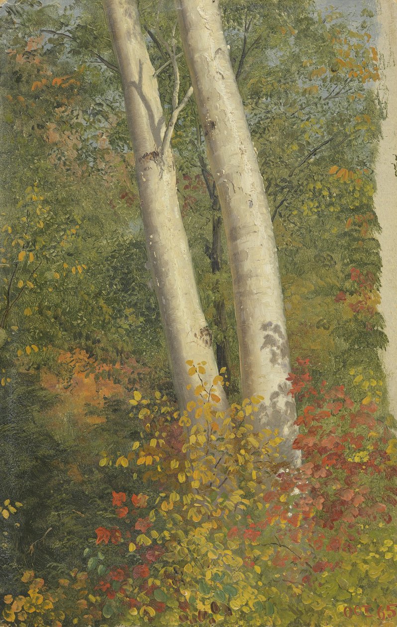 Koivuja syksyllä tekijältä Frederic Edwin Church