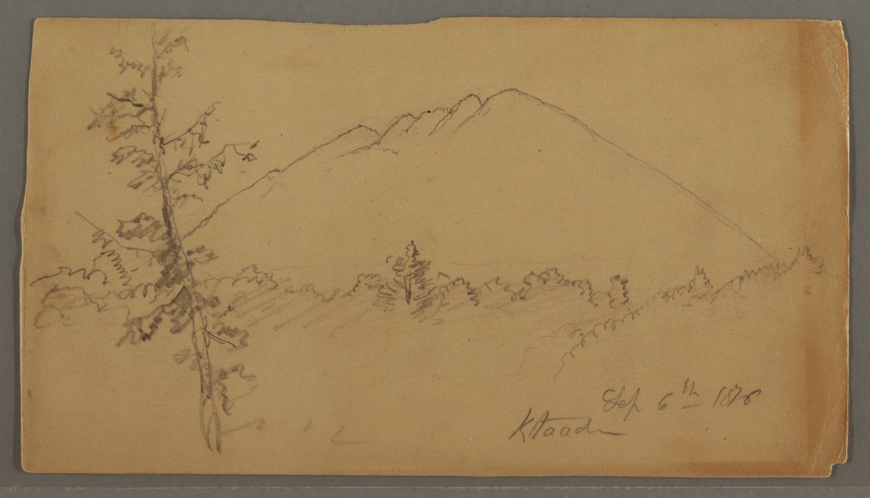 Piirros, Katahdin-vuori, metsä, etualalla puu tekijältä Frederic Edwin Church