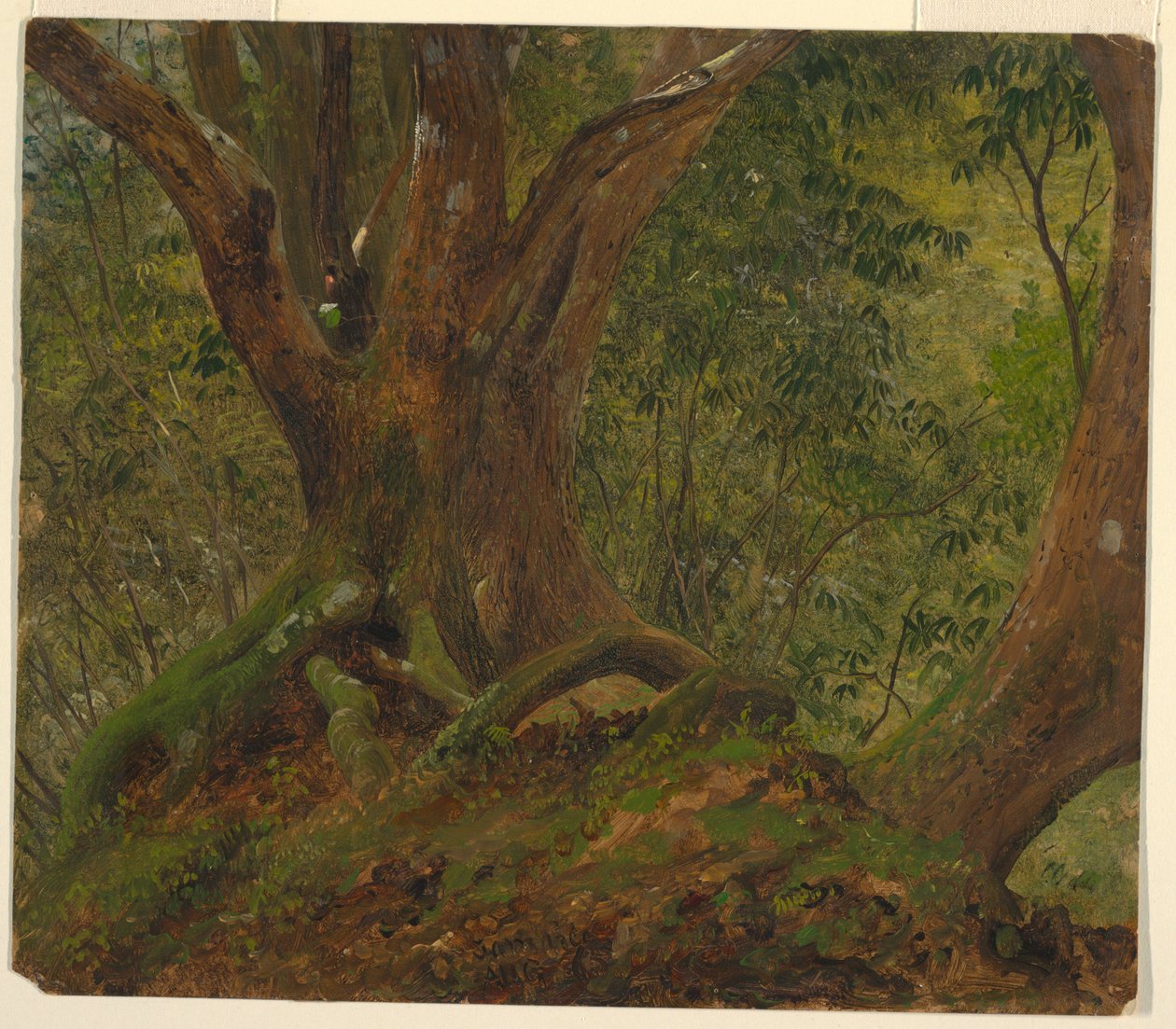 Metsässä, Jamaika tekijältä Frederic Edwin Church