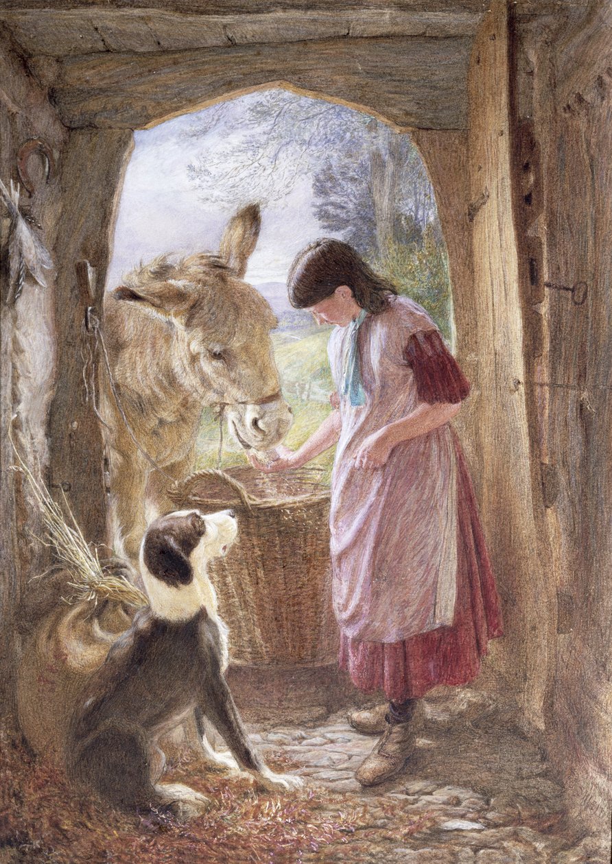 Ruokintakuoppa (liitu) tekijältä Frederic James Shields