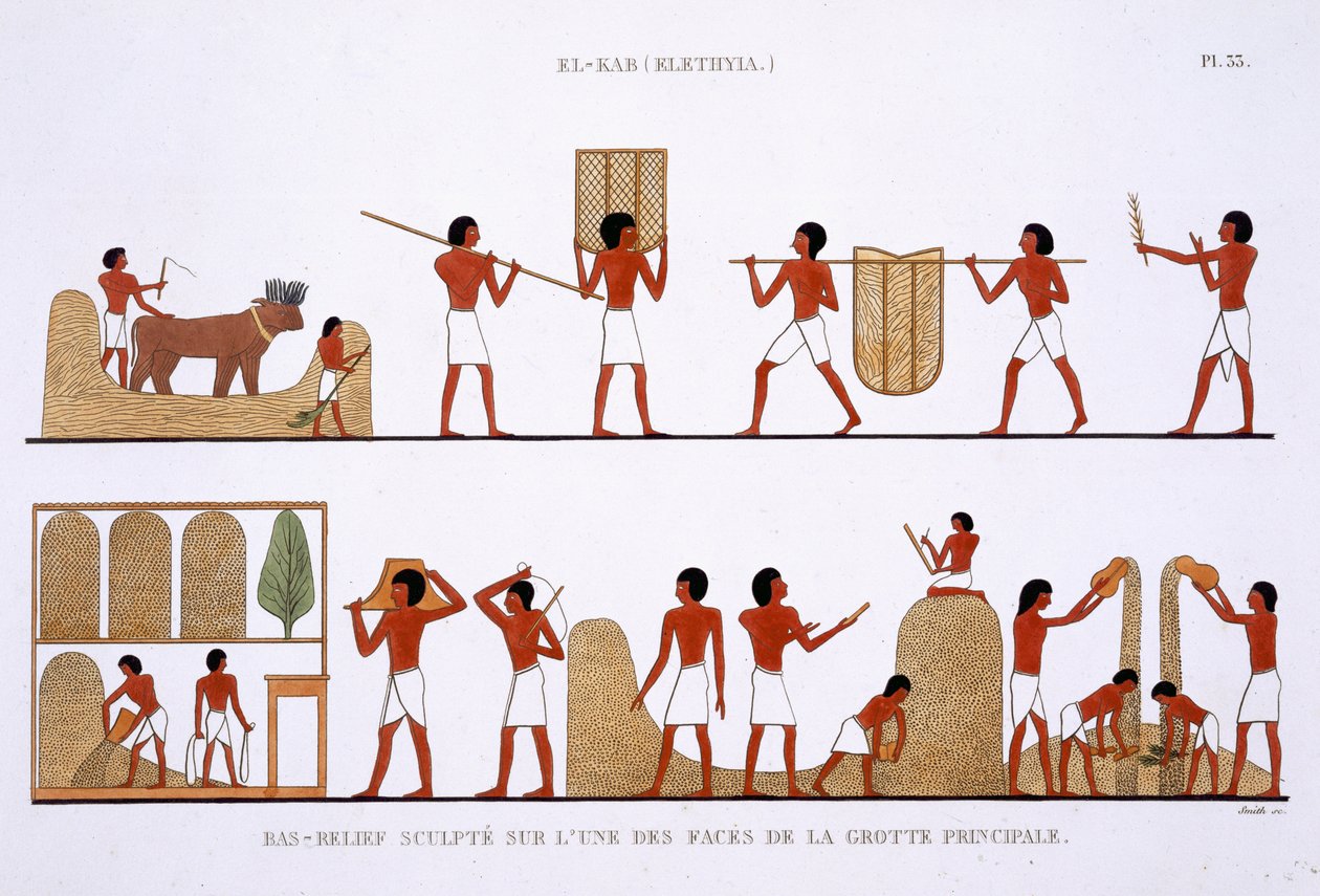 Viljavarastojen kuljettaminen, varastointi ja tallentaminen harvinaisista Theban freskoista, jotka Frederic Caillaud (1787-1869) tallensi toisella Egyptin-vierailullaan 1819-1822, väri litho tekijältä Frederic (after) Cailliaud