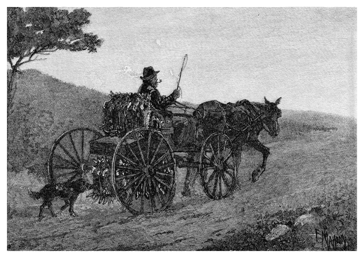 Colac Rabbit Trapper, 1886. tekijältä Frederic B. Schell