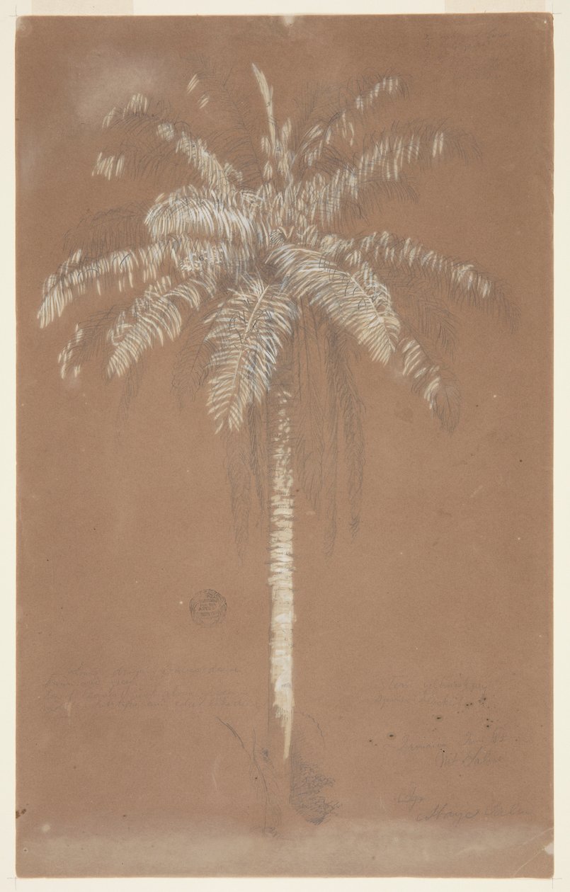 Tule, Pam. sulus, jamaika tekijältä Frederic Edwin Church