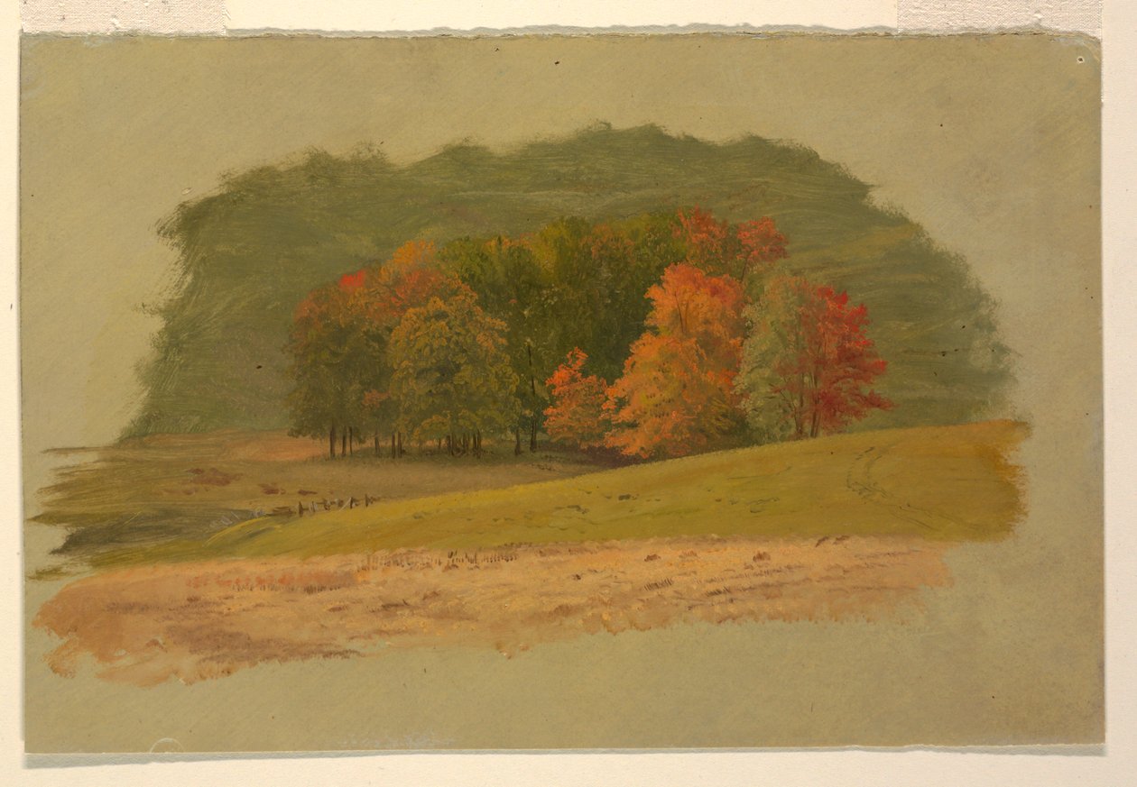 Syksyinen maisema tekijältä Frederic Edwin Church