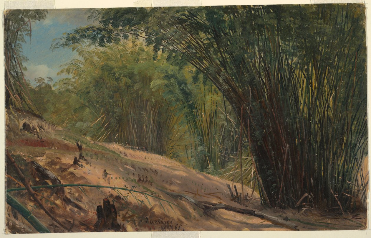 Bamboo Grove, Jamaika tekijältä Frederic Edwin Church
