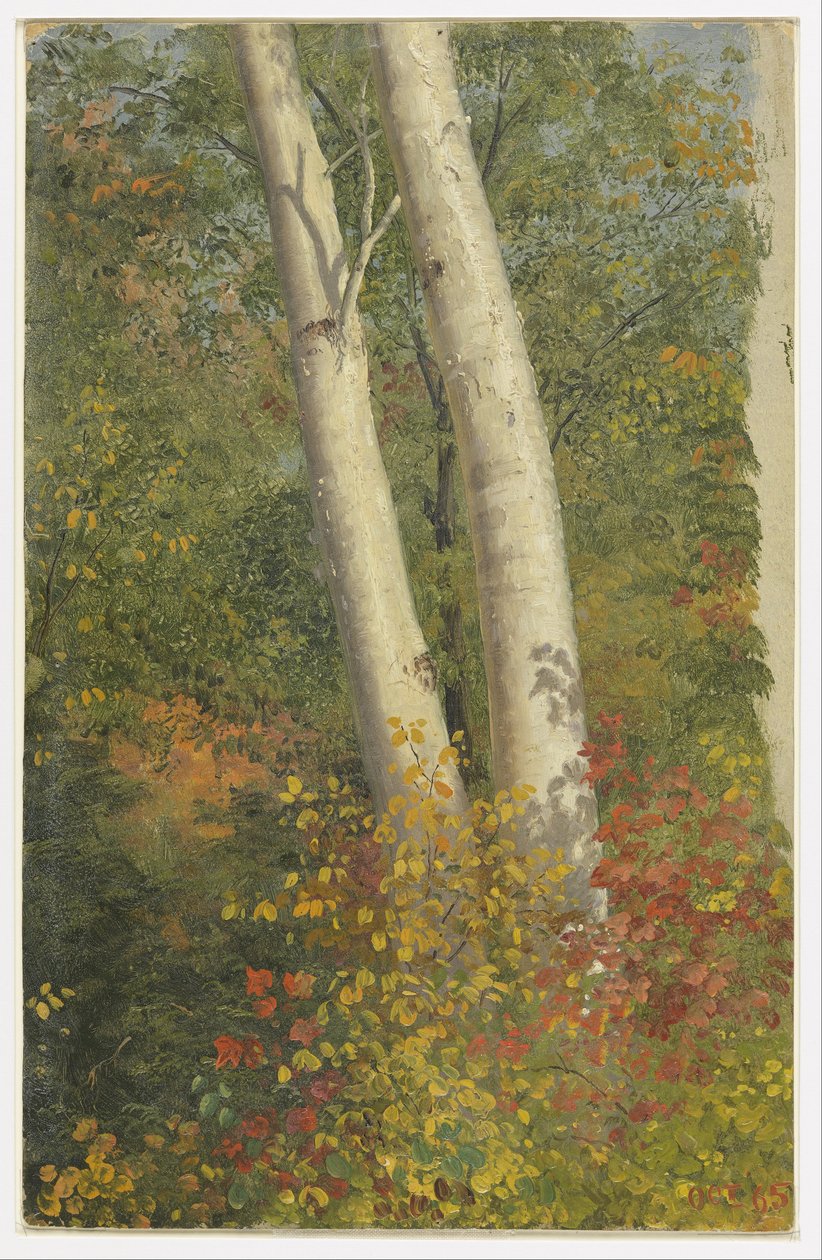 Koivut syksyllä tekijältä Frederic Edwin Church