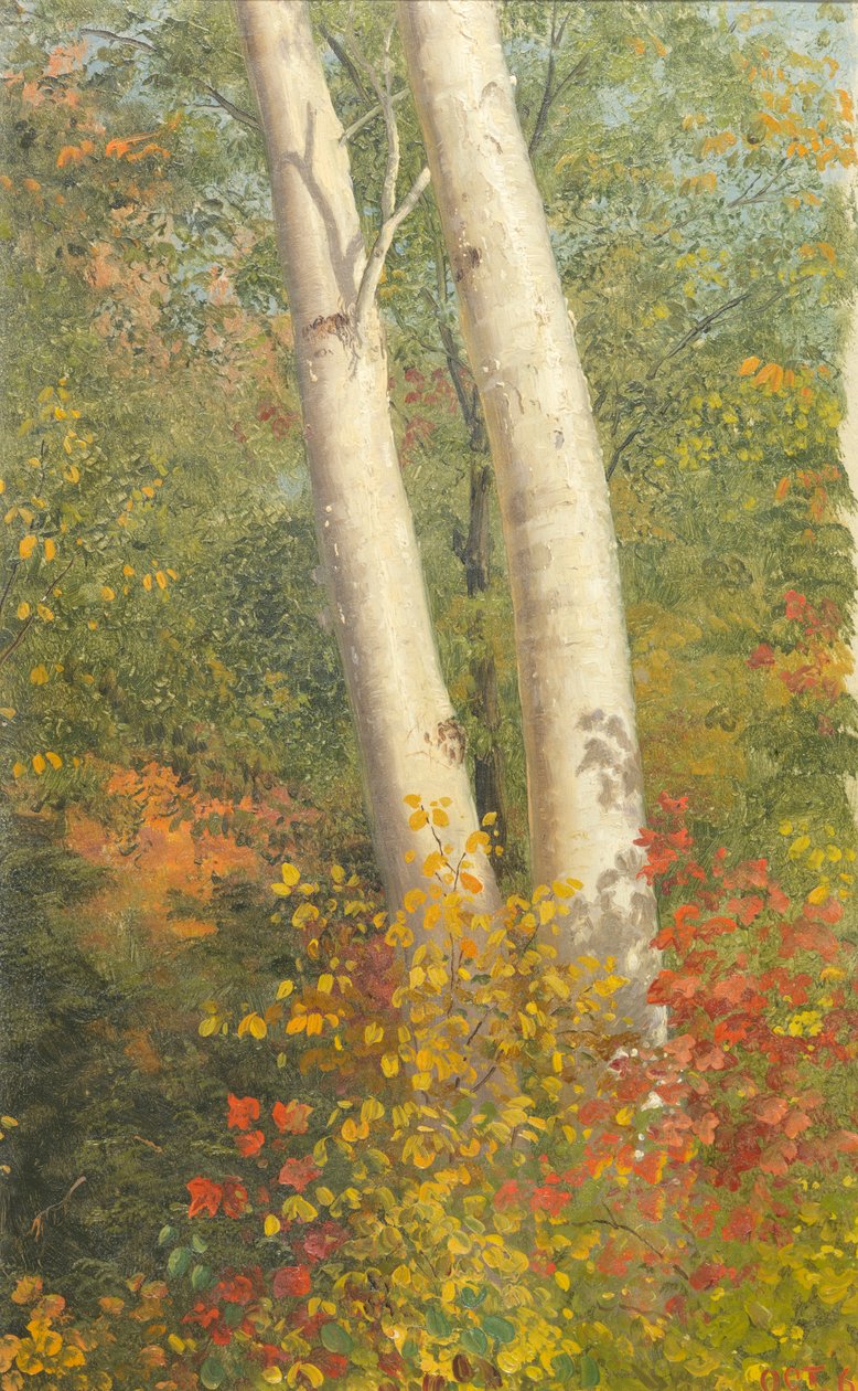 Koivut syksyllä tekijältä Frederic Edwin Church