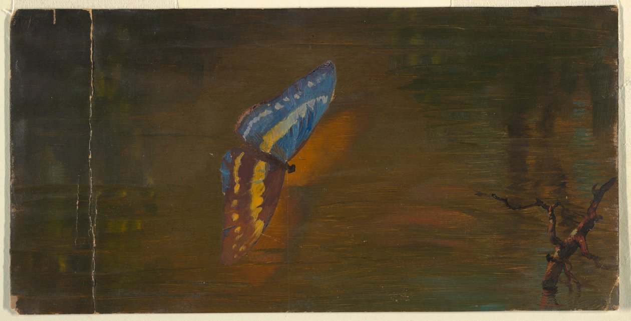 Perhonen veden päällä tekijältä Frederic Edwin Church