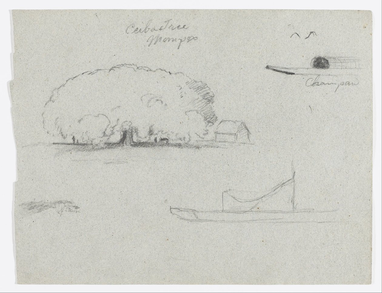 Ceiba-puu Momposissa, Champan-kanootti, puita ja osittainen vene, Rio Magdelena, Kolumbia tekijältä Frederic Edwin Church