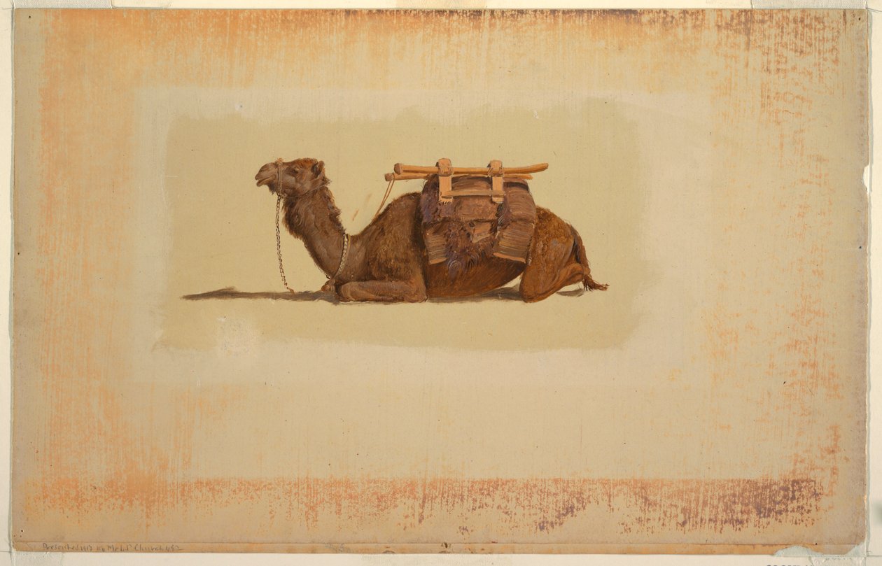 Kyyryilevä Dromedary tekijältä Frederic Edwin Church