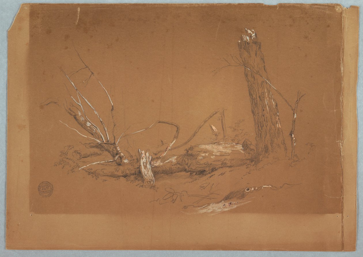 Piirros, Murtunut kuollut puu, 1855-65 tekijältä Frederic Edwin Church