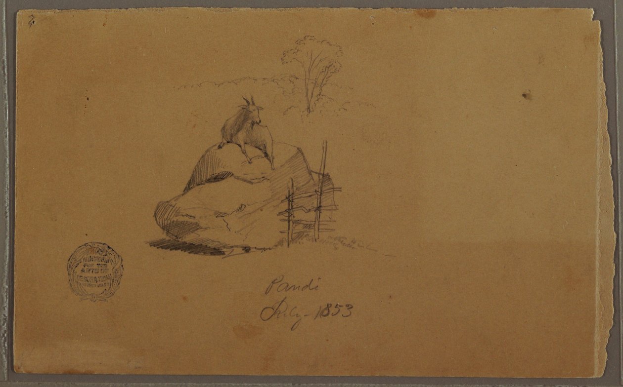 Piirros, Vuohi Pandissa, Kolumbia, heinäkuu 1853. tekijältä Frederic Edwin Church