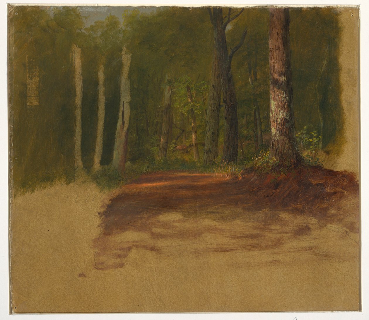 Piirros, Tie metsään, 1850-60. tekijältä Frederic Edwin Church