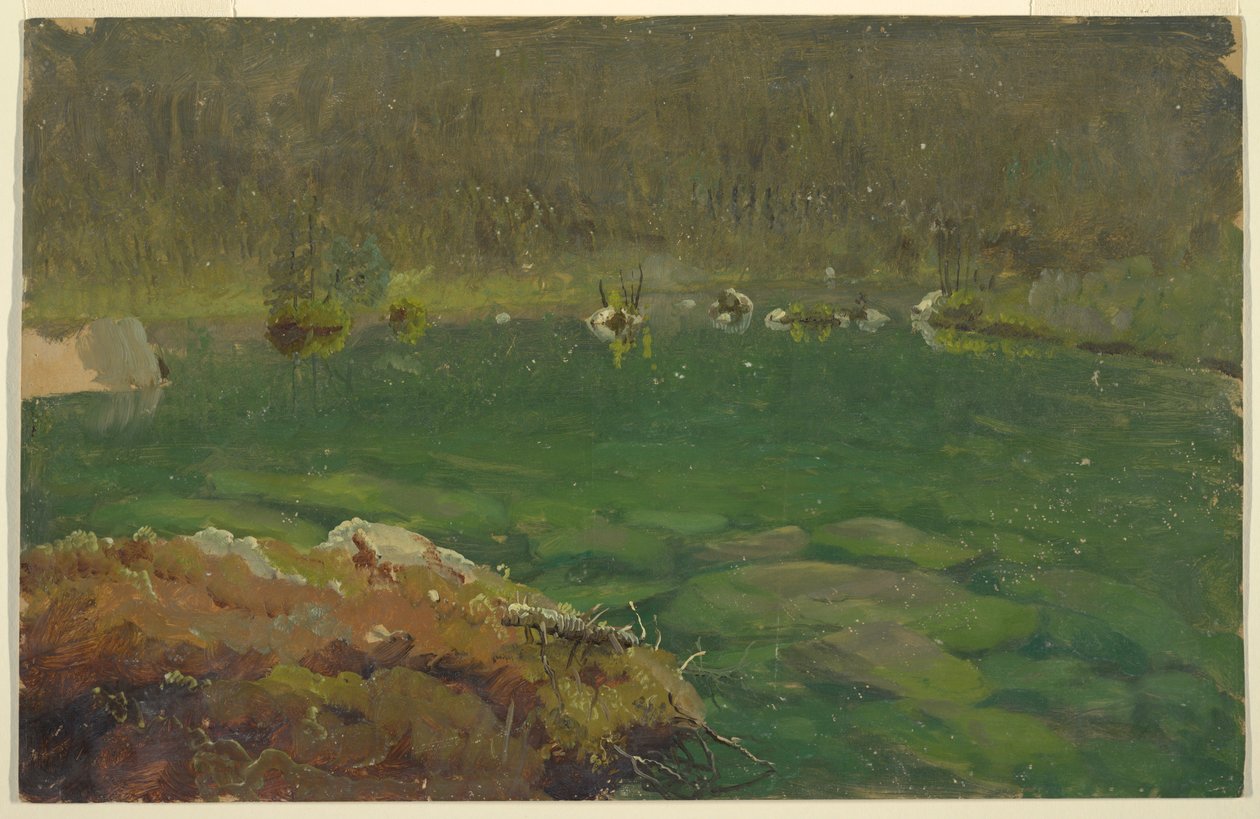 Piirros, Apline-järvi, Baijeri tai Sveitsi, 1868 tekijältä Frederic Edwin Church