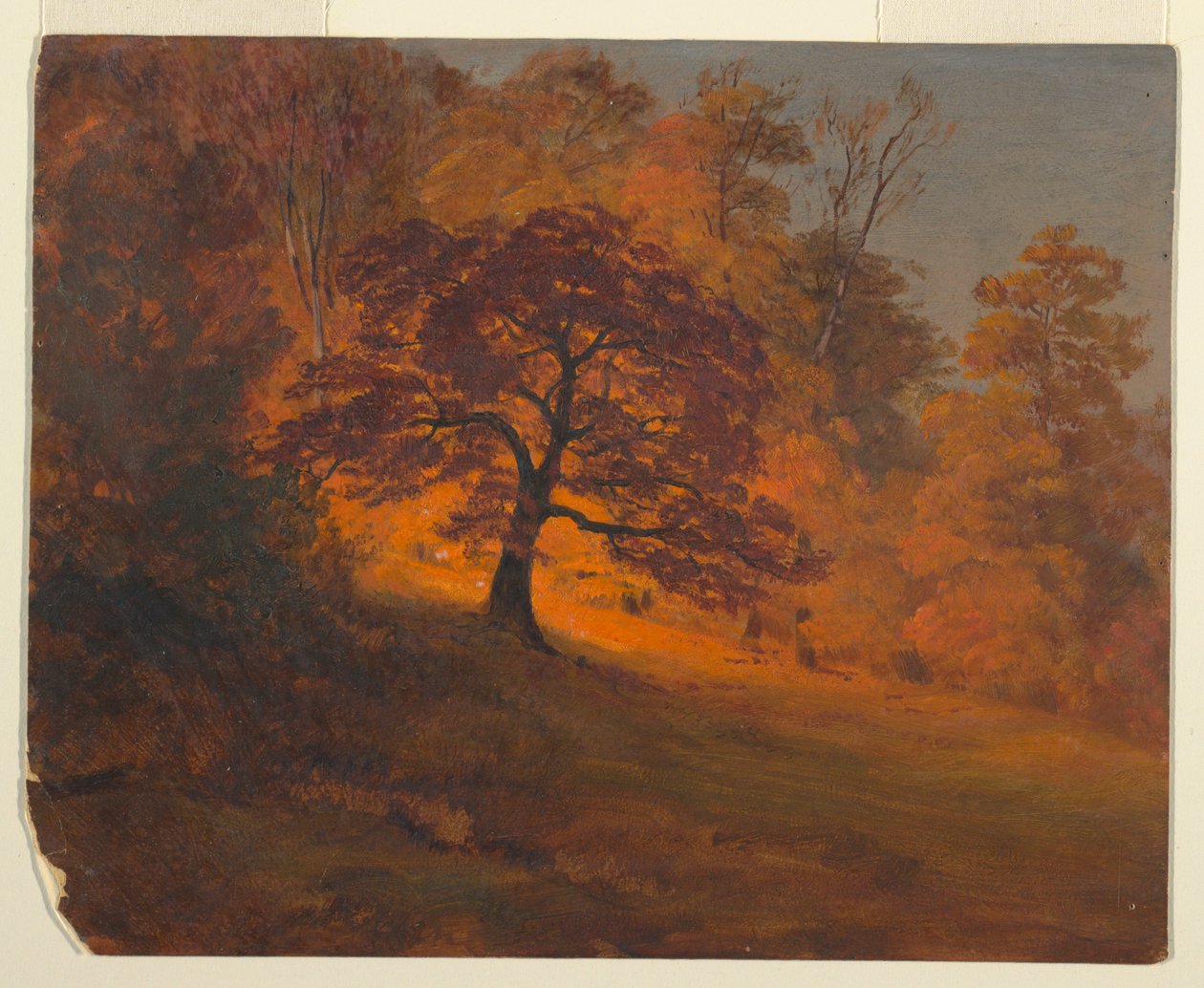 Piirros, Syksyn lehdet, 1867 tekijältä Frederic Edwin Church