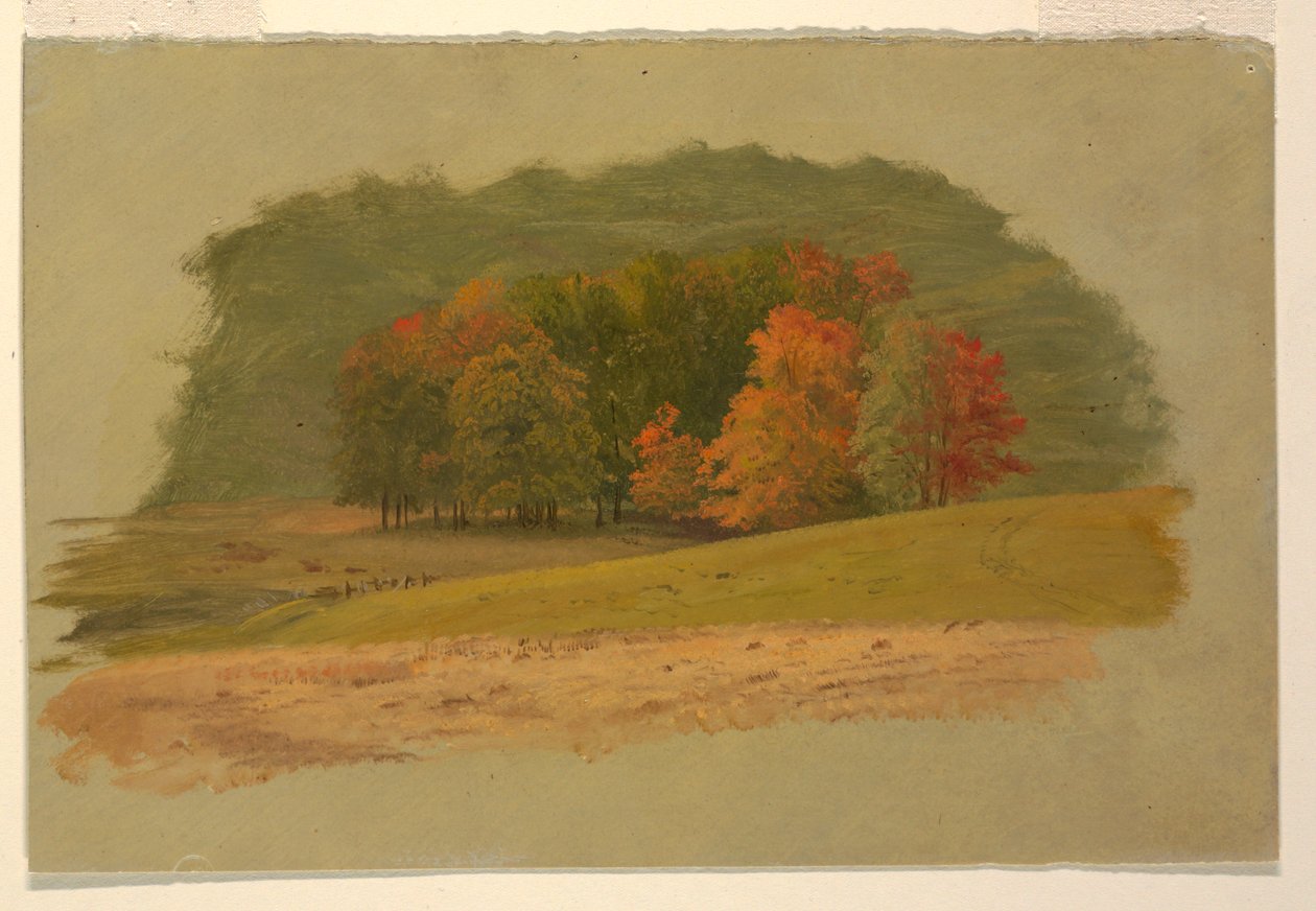 Piirustus, Syksyinen maisema, 1860-70 tekijältä Frederic Edwin Church