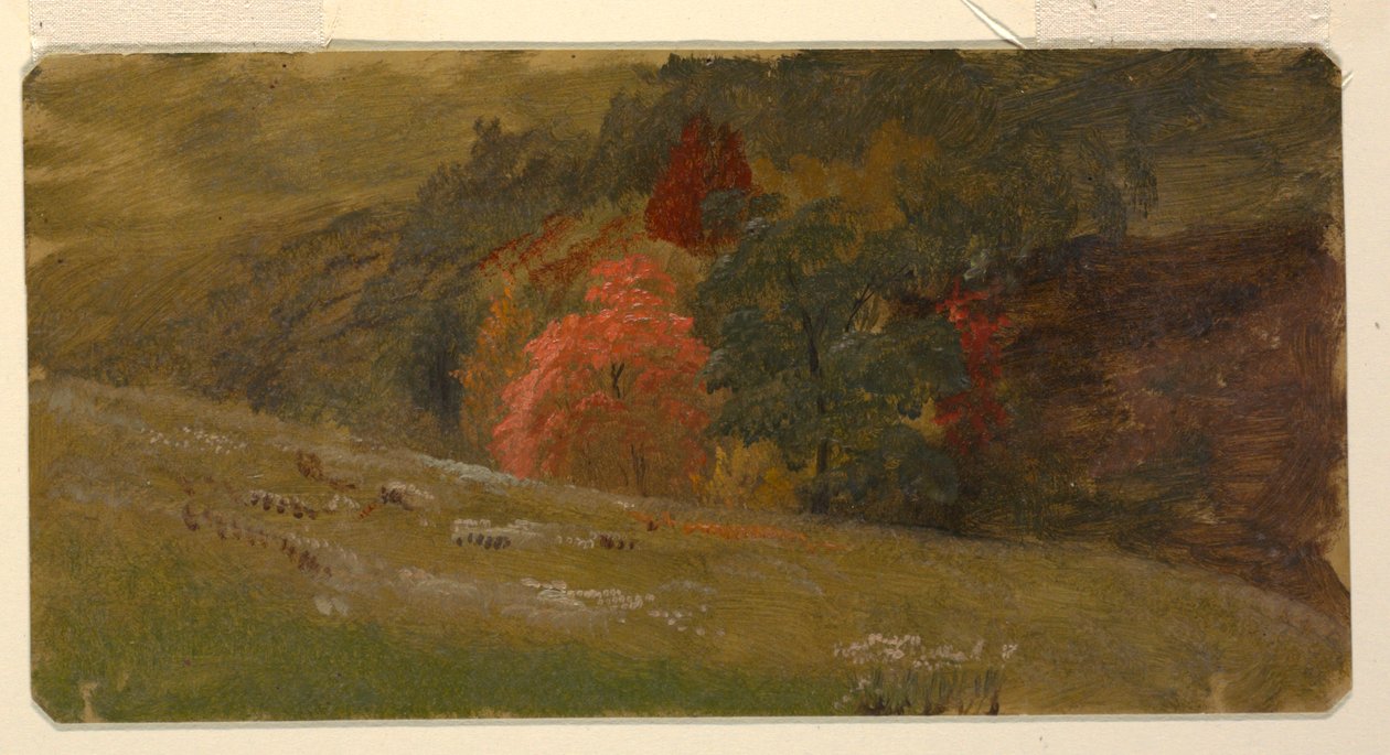 Piirros, Syysmaisema, n. 1865 tekijältä Frederic Edwin Church