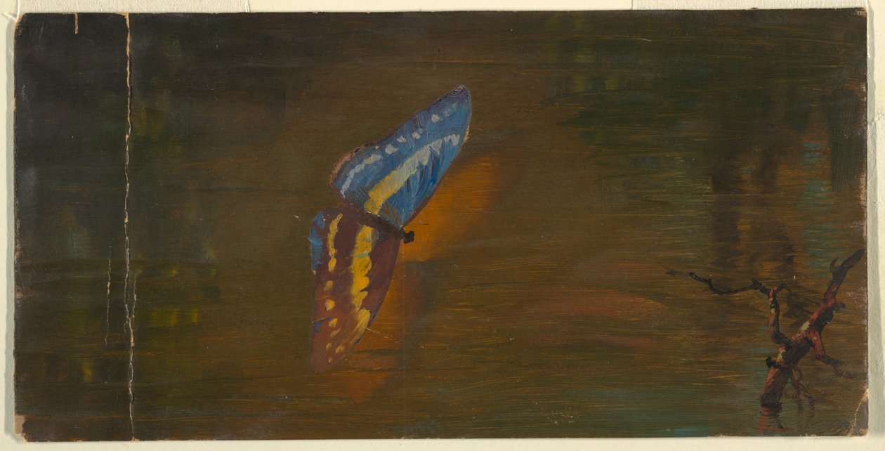 Piirros, Perhonen veden yllä, n. 1865. tekijältä Frederic Edwin Church