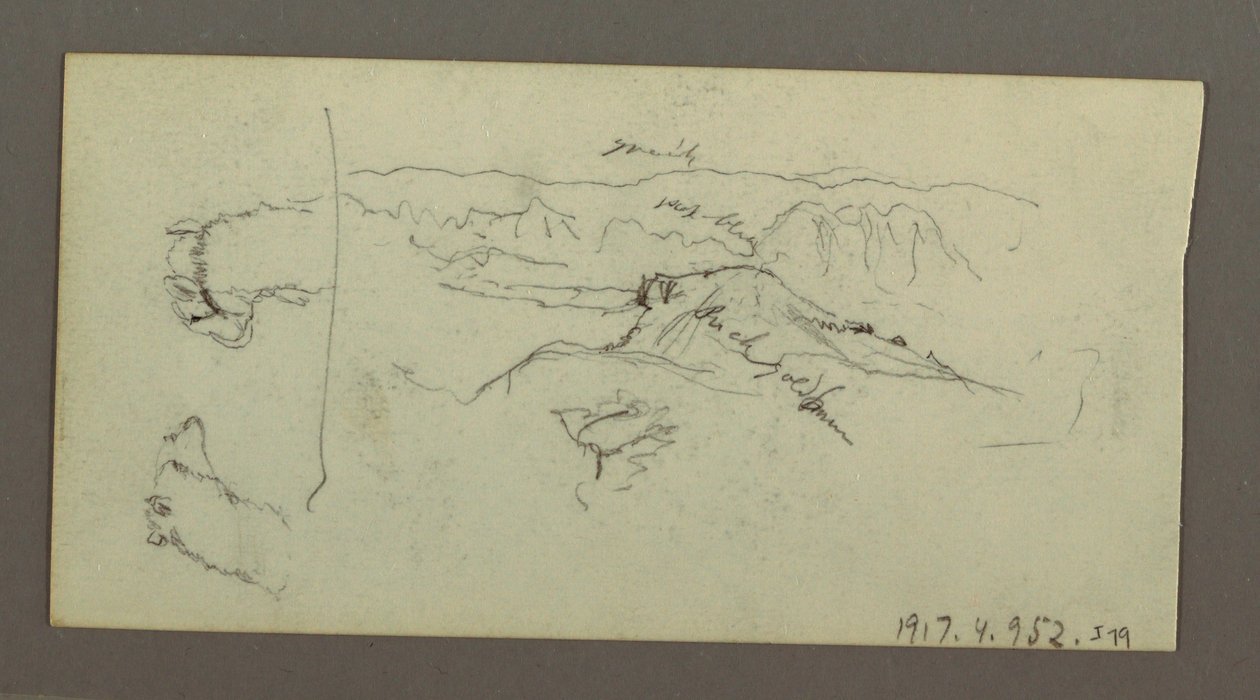 Piirros, Kamelin puskat, puupensas ja laakso, mahdollisesti 1868. tekijältä Frederic Edwin Church