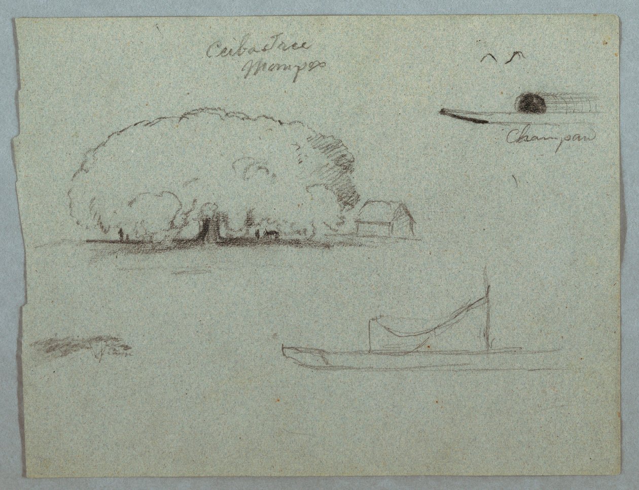 Piirros, Ceiba-puu Momposissa, Champan-kanootti, puita ja osittainen vene, Rio Magdelena, Kolumbia, 1853, luultavasti toukokuu. tekijältä Frederic Edwin Church