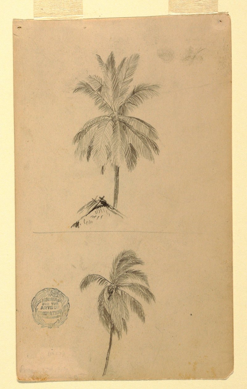 Piirustus, Piirustukset.  Kaksi luonnosta.  Palmut., 1857 tekijältä Frederic Edwin Church