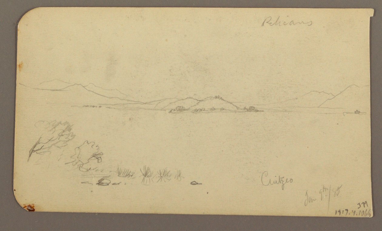 Piirros, Hahmo ja härkävaunu, sypressipuu; Kääntöpuoli: Näkymä Cuitzeojärven yli, tammikuu 1885. tekijältä Frederic Edwin Church