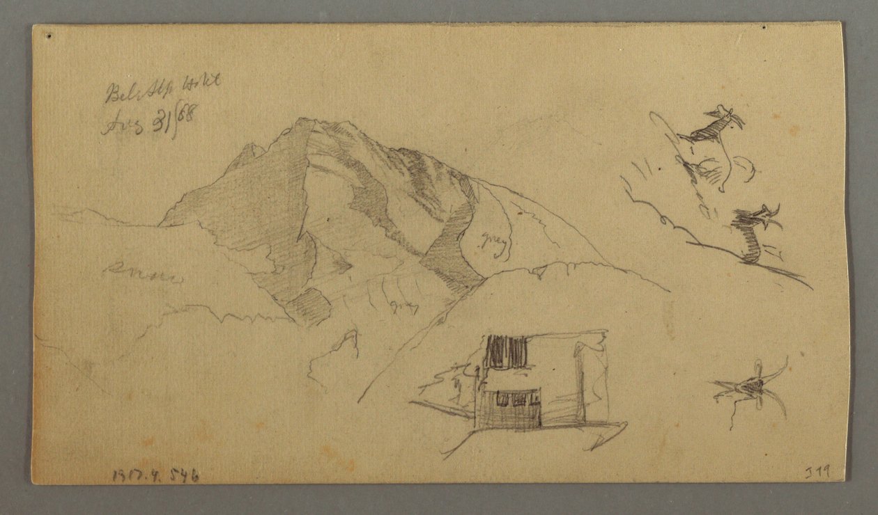 Piirros, Glacier, 21. elokuuta 1868. tekijältä Frederic Edwin Church