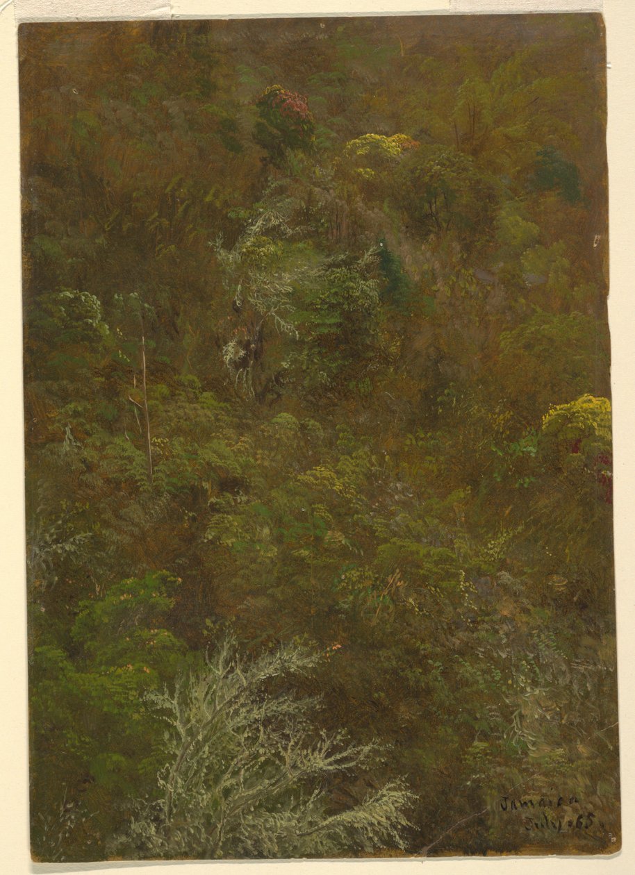 Piirros, Kukkulanrinne Pensas amp; puiden peittämä, heinäkuu 1865 tekijältä Frederic Edwin Church